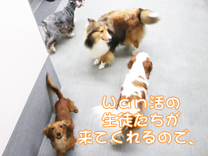 夏のＷａｎ活♪